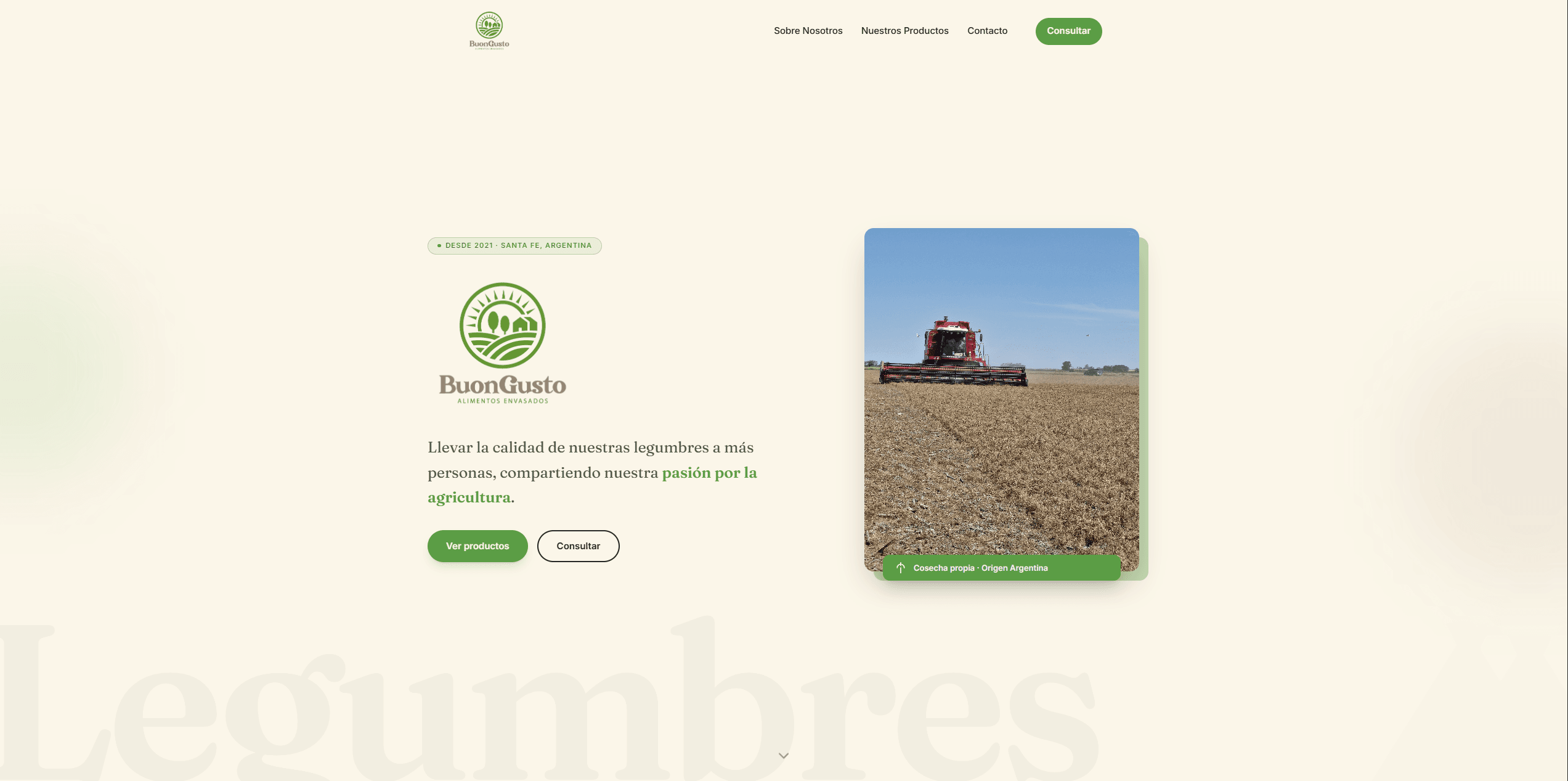 Captura de la landing de BuonGusto